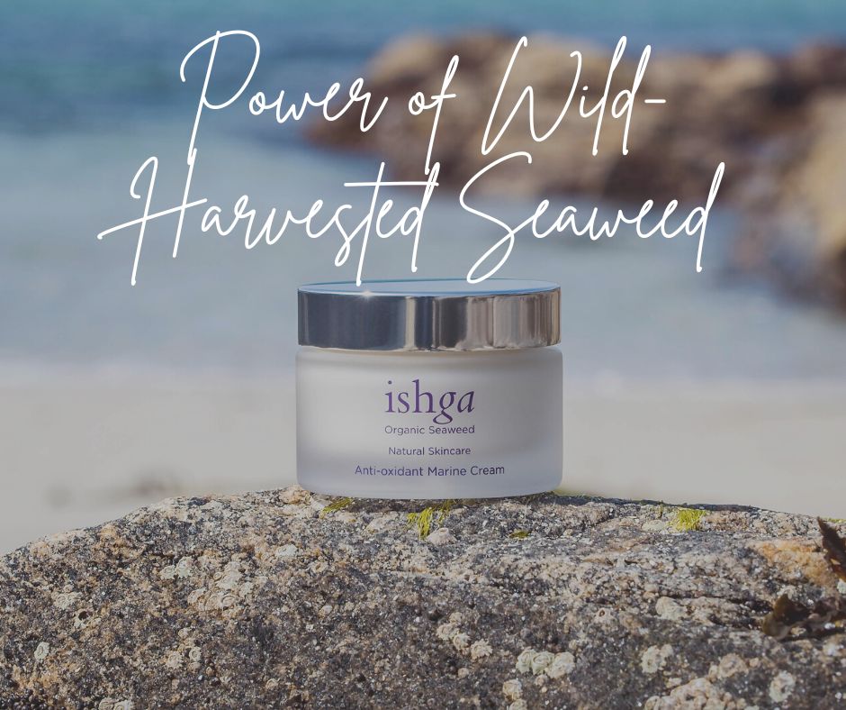 Power of Wild-Harvested Seaweed with ishga's Range of Skin Care Products