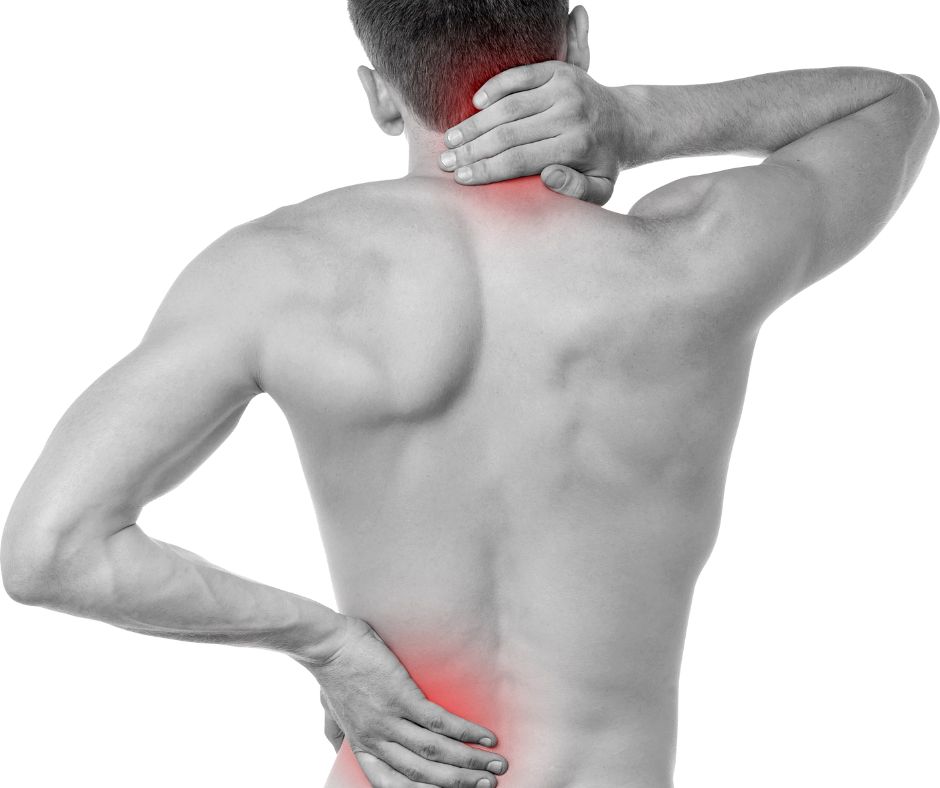 Sports Massage - Effects on Muscular System