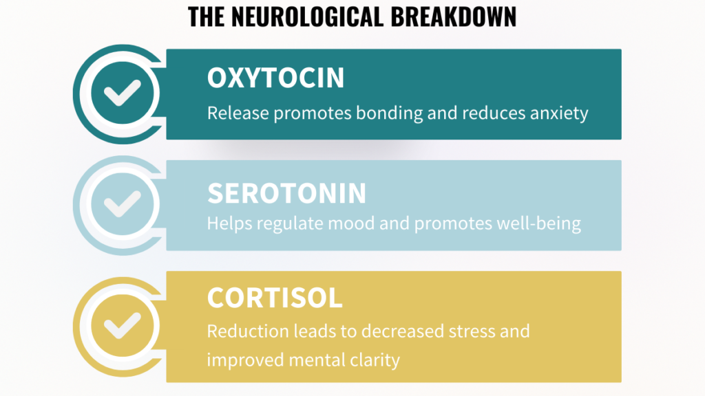 Infographic showing how oxytocin boosts bonding, serotonin regulates mood, and cortisol reduction lowers stress.